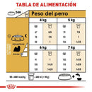 Royal Canin Shih-Tzu Adulto 4.54kg - Alimento Seco Shih-Tzu Adulto