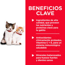 Hill's Science Diet Kitten Healthy Cuisine Lata 80 gr Receta Pollo y Arroz - Alimento Húmedo Gatito