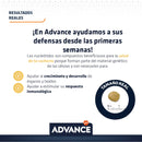 Advance Veterinary Diets Sensitive Puppy con Problemas Digestivos Salmón 12 kg - Alimento para perro cachorro