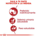 Royal Canin Adult Instinctive Loaf in a Sauce Lata 145 gr - Alimento Húmedo Gato Adulto