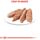 Royal Canin Adult Instinctive Loaf in a Sauce Lata 145 gr - Alimento Húmedo Gato Adulto
