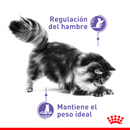 Royal Canin Appetite Control Care 2.7 - Alimento Seco Gato Adulto Esterilizado / Castrado