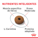 Royal Canin Appetite Control Care 6.3 kg - Alimento Seco Gato