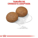 Pack 2 Bultos Royal Canin Medium Adult 7.72 kg + Plato de regalo