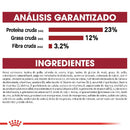 Pack 2 Bultos Royal Canin Medium Adult 7.72 kg + Plato de regalo