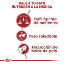 Royal Canin Adult Fit and Active 3.18 kg - Alimento Seco Gato Adulto