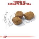 Royal Canin Adult Fit and Active 3.18 kg - Alimento Seco Gato Adulto
