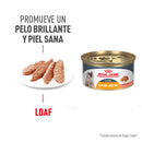 Royal Canin Hair and Skin Care Loaf in Sauce Lata 145 gr - Alimento Húmedo Gato Adulto