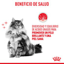 Royal Canin Hair and Skin Care Loaf in Sauce Lata 145 gr - Alimento Húmedo Gato Adulto