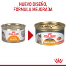 Royal Canin Hair and Skin Care Loaf in Sauce Lata 145 gr - Alimento Húmedo Gato Adulto