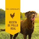 Instinct de Pollo lata - Alimento húmedo para perros [4 unidades de 374 gr]