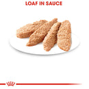 Royal Canin Kitten Instinctive Loaf in Sauce Lata 165gr - Alimento Húmedo para Gatito