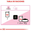 Royal Canin Kitten Instinctive Loaf in Sauce Lata 145gr - Alimento Húmedo Gatito