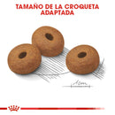 Royal Canin Large Weight Care / Maxi Weight Care 13.6 kg - Alimento Seco Adulto Raza Grande