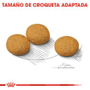 Royal Canin Medium Sensitive Skin 2.3kg - Alimento para perro