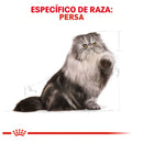 Royal Canin Persian Adult 3.18kg - Alimento Seco Persa Adulto