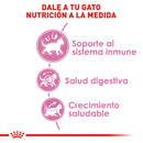 Royal Canin Kitten 1.37 kg - Alimento Seco Gatito