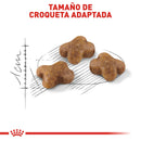Royal Canin Kitten 1.37 kg - Alimento Seco Gatito