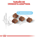 Royal Canin Mother & Babycat 1.37 kg - Alimento Seco Gatas Gestantes y Gatitos