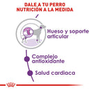 Royal Canin Giant Adult 13.6 kg - Alimento Seco Perro Adulto Raza Extra Grande
