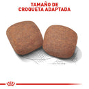 Royal Canin Giant Adult 13.6 kg - Alimento Seco Perro Adulto Raza Extra Grande