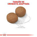 Royal Canin Large / Maxi Adult 13.6 kg - Alimento Seco Perro Adulto Raza Grande