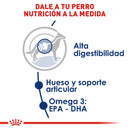 Royal Canin Large / Maxi Adult 13.6 kg - Alimento Seco Perro Adulto Raza Grande