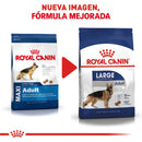 Royal Canin Large / Maxi Adult 13.6 kg - Alimento Seco Perro Adulto Raza Grande