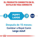 Royal Canin Large / Maxi Puppy 13.6 kg - Alimento Seco Perro Cachorro Raza Grande