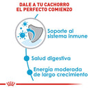 Royal Canin Large / Maxi Puppy 13.6 kg - Alimento Seco Perro Cachorro Raza Grande