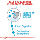 Royal Canin Small/Mini Puppy 6.3kg - Alimento Seco Perro Cachorro Raza Pequeña