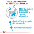 Royal Canin Small/Mini Starter Mother & Baby Dog 1.1 kg - Alimento Seco Perras Gestantes y Cachorros