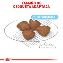 Royal Canin Small/Mini Starter Mother & Baby Dog 1.1 kg - Alimento Seco Perras Gestantes y Cachorros