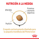 Royal Canin Pomeranian Adulto 4.5 kg - Alimento Seco Pomeranian Adulto