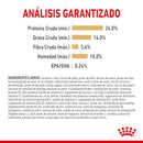 Royal Canin Pomeranian Adulto 4.5 kg - Alimento Seco Pomeranian Adulto