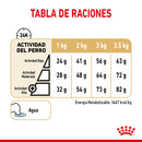 Royal Canin Pomeranian Adulto 1.1 kg - Alimento Seco Pomeranian Adulto