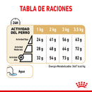 Royal Canin Pomeranian Adulto 4.5 kg - Alimento Seco Pomeranian Adulto