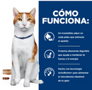 Hill's Prescription Diet ONC Care sabor Pollo y vegetales 80 gr - Alimento Húmedo para Gato