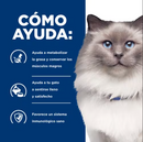 Hill's Prescription Diet rd Feline Reducción de Peso 3.9kg - Alimento Seco Gato