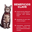 Caja de 24 Hill's Science Diet Felino Adult Original Pouch 79g Receta Pescado - Alimento Húmedo Gato Adulto