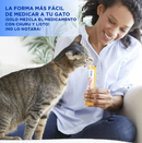 Inaba Churu - Premios Cremosos para Gatos - Bote 50 Piezas