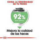 Royal Canin Small Digestive Care / Mini Special 1.6Kg - Alimento Seco Adulto Raza Pequeña