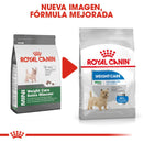 Royal Canin Small Weight Care / Mini Weight Care 1.13Kg - Alimento Seco Adulto Raza Pequeña