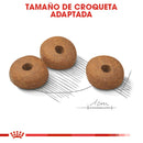 Royal Canin Small Weight Care / Mini Weight Care 1.13Kg - Alimento Seco Adulto Raza Pequeña
