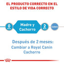 Royal Canin Starter Mousse Lata 145gr - Alimento Húmedo Perras Gestantes y Cachorros