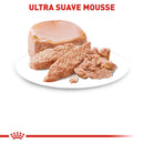 Royal Canin Starter Mousse Lata 145gr - Alimento Húmedo Perras Gestantes y Cachorros
