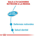 Royal Canin Starter Mousse Lata 145gr - Alimento Húmedo Perras Gestantes y Cachorros