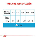 Royal Canin Starter Mousse Lata 145gr - Alimento Húmedo Perras Gestantes y Cachorros