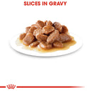 Royal Canin Weight Care Thin Slices in gravy 85gr- Alimento Húmedo Gato Adulto