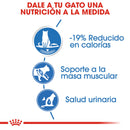 Royal Canin Weight Care Loaf in Sauce Lata 145 gr - Alimento Húmedo Gato Adulto